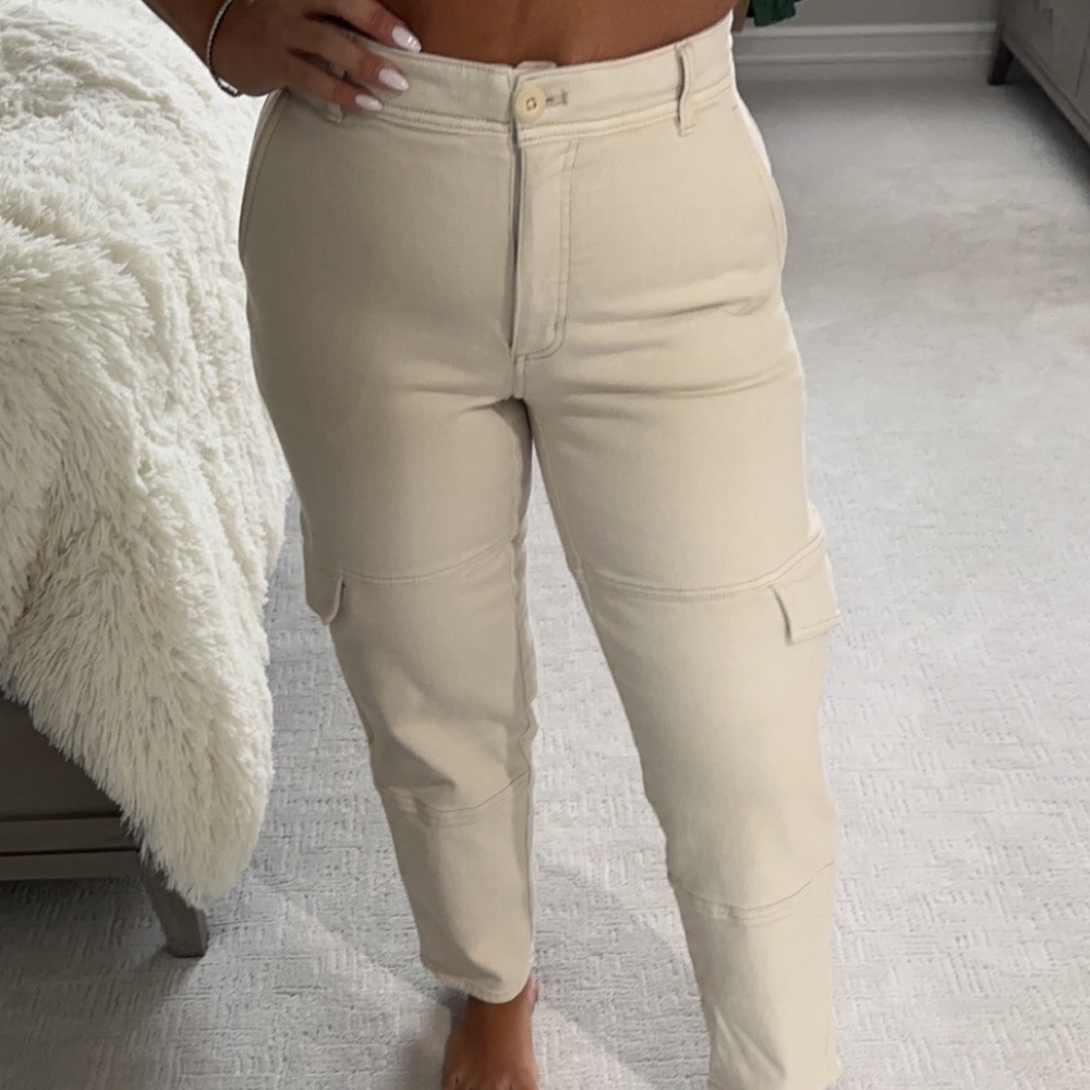 Aritzia cargo pants